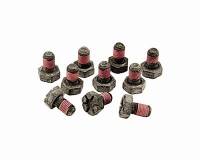 Ford Racing - Ford Racing 8.8" Ring Gear Bolt Set (10 Pack)