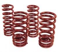 5" x 9.5" Front Coil Springs