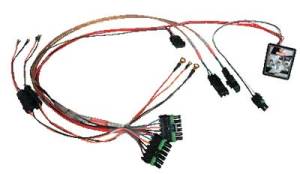 Ignitions & Electrical - Wiring Harnesses - Ignition Wiring Harnesses