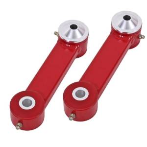Rear Suspension Components - Rear Control and Trailing Arms - Vertical Link
