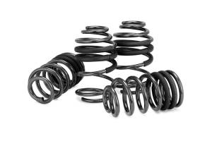Springs & Components - Coil Springs - Suspension Spring Kit