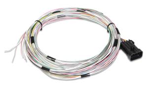 Transmission Wiring Harnesses