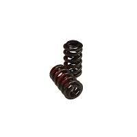 AFR Valve Springs