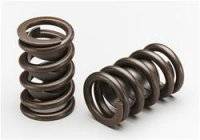Lunati Valve Springs