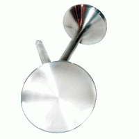 Manley Titanium Valves