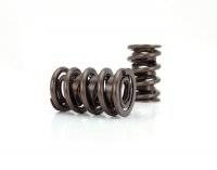Manley Professional Valve Springs