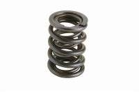 Ford Racing Valve Springs