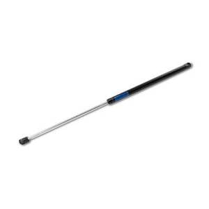 Liftgate Struts