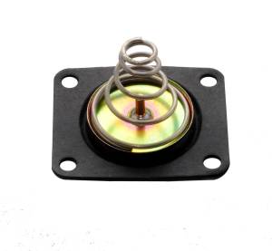 Fuel Pressure Regulator Diaphrams