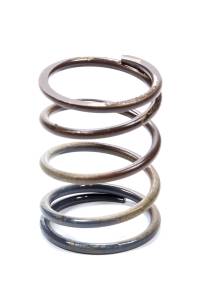 Wastegate Springs