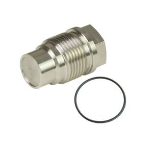 Fuel Rail Plugs
