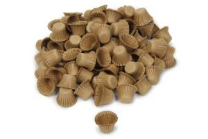 Dust Plug