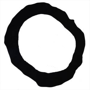 Steering Wheel Covers