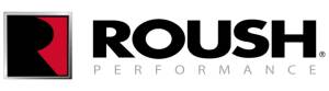 Roush Ford Mustang Front Struts