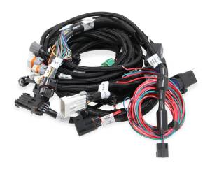 Engine Wiring Harness