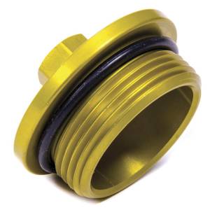 Inspection Plug