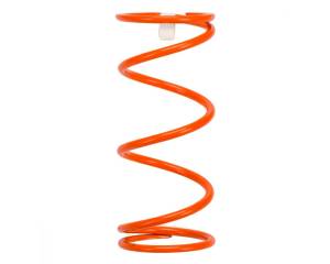 Tanner Quarter Midget Springs