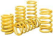 Front Coil Springs