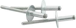 Rivets