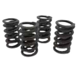 Elgin Performance Valve Springs