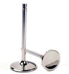 Ferrea Competition Plus Valves