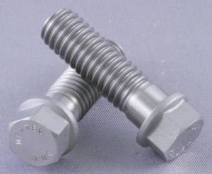 1/4" Titanium Bolt