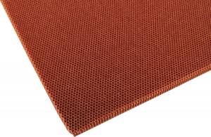 Sprint Car Radiator Protectors