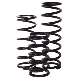 Integra Rear Coil Springs