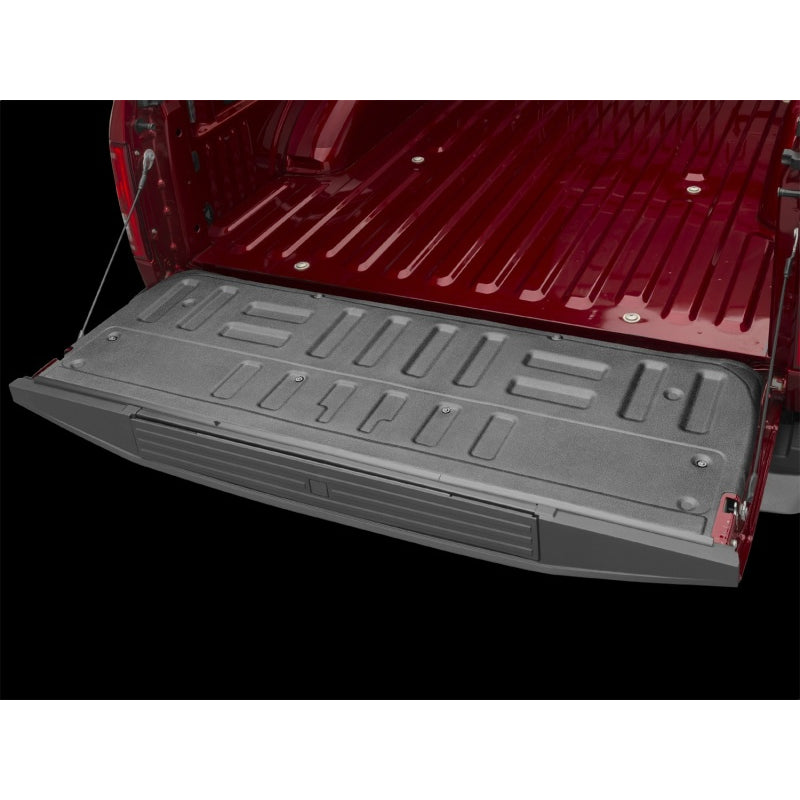 WeatherTech TechLiner - Black - Ford Fullsize Truck 2015-22