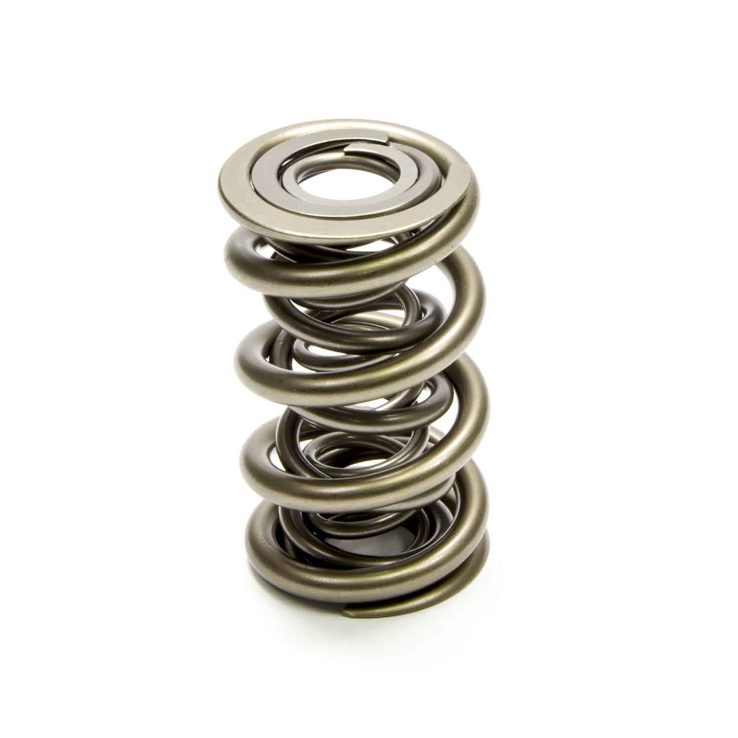 PAC Racing Springs PAC-1349 Valve Springs – Pit Stop USA