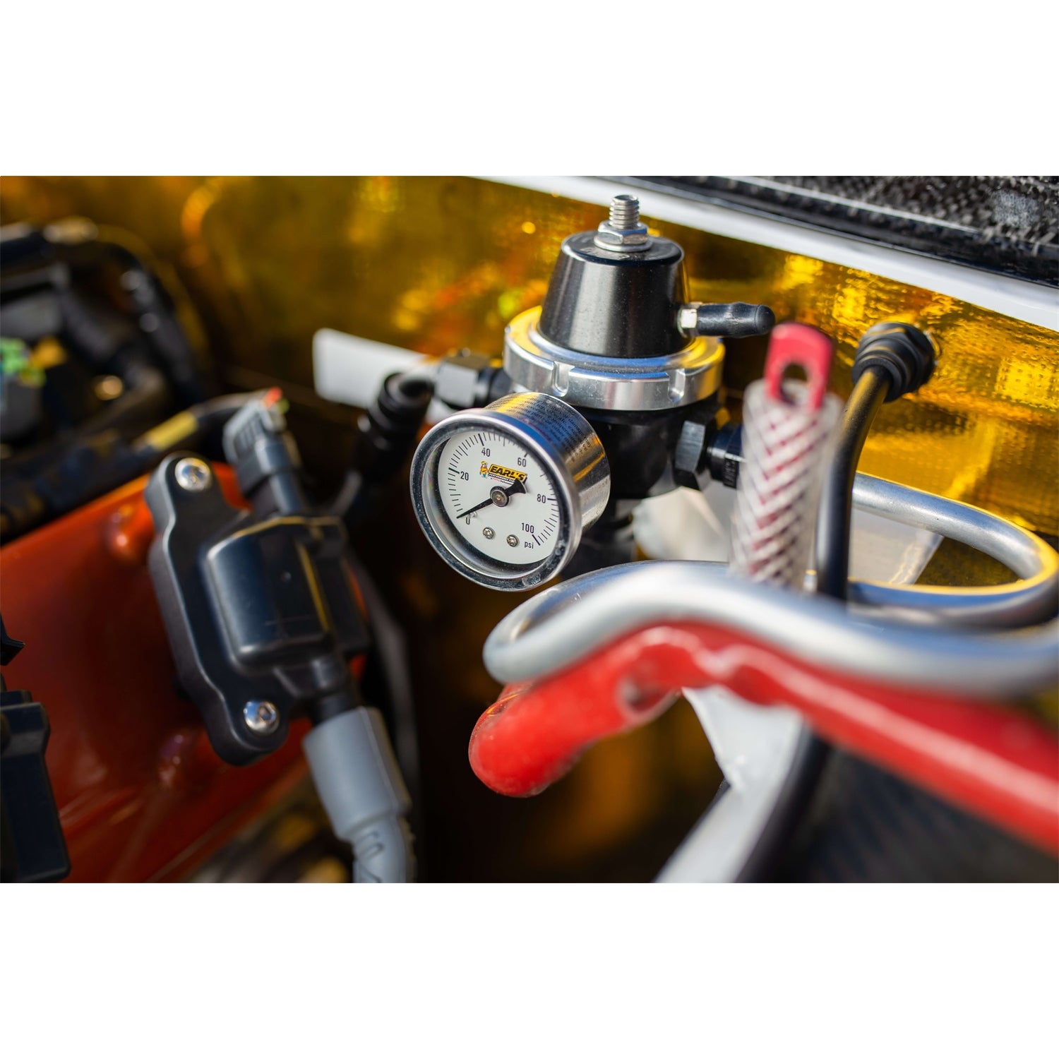 Earl's Liquid Filled Pressure Gauge - 0-100 psi - 1-1/2" Diameter - 1/8" NPT Port - White Face