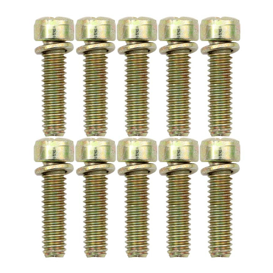 AED Throttle Body Screws (10 Pack)