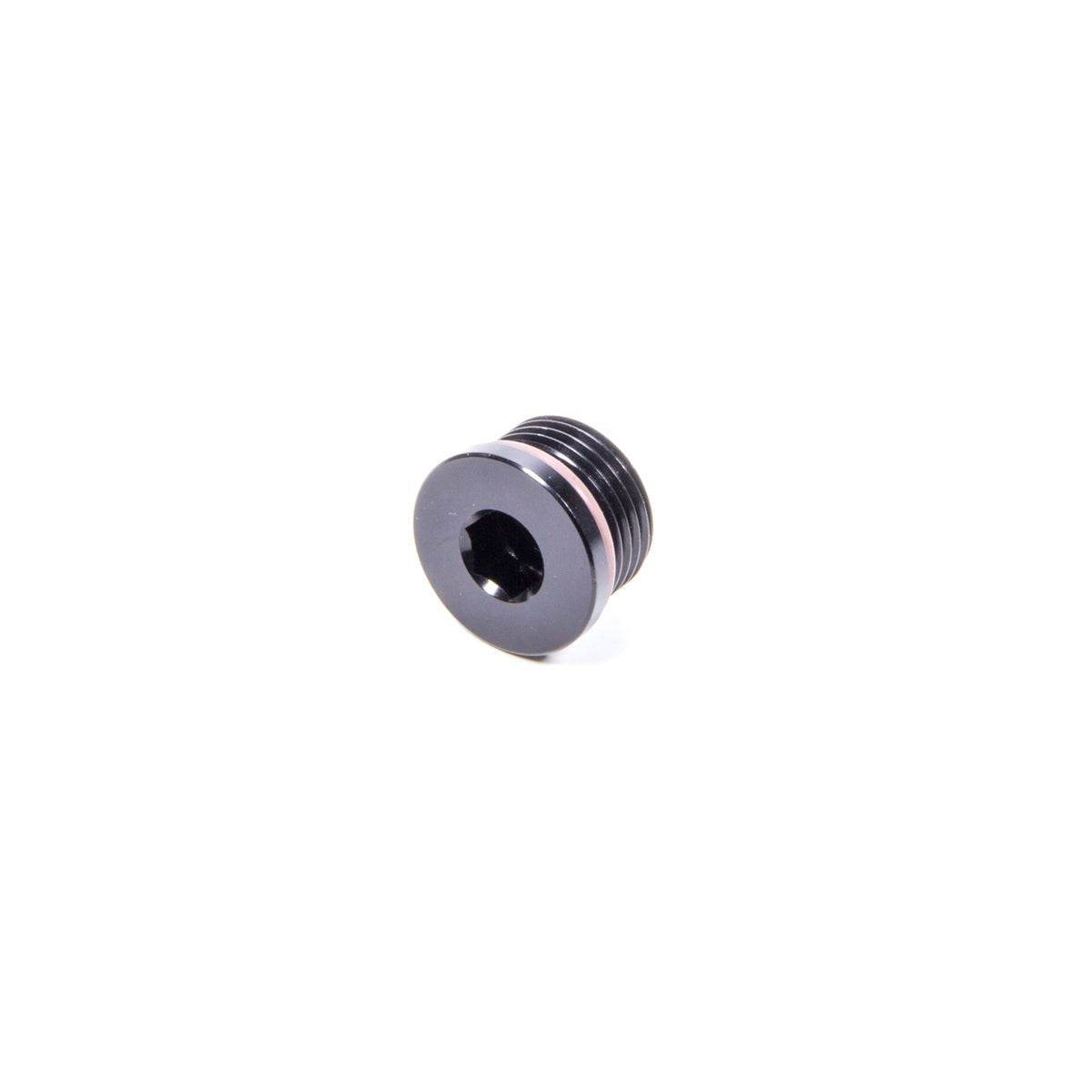 XRP Plug Fitting 10 AN Male O-Ring Allen Head Black Anodize - Each