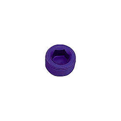 XRP 1/16" Allen Socket Plug - 1/16" NPT