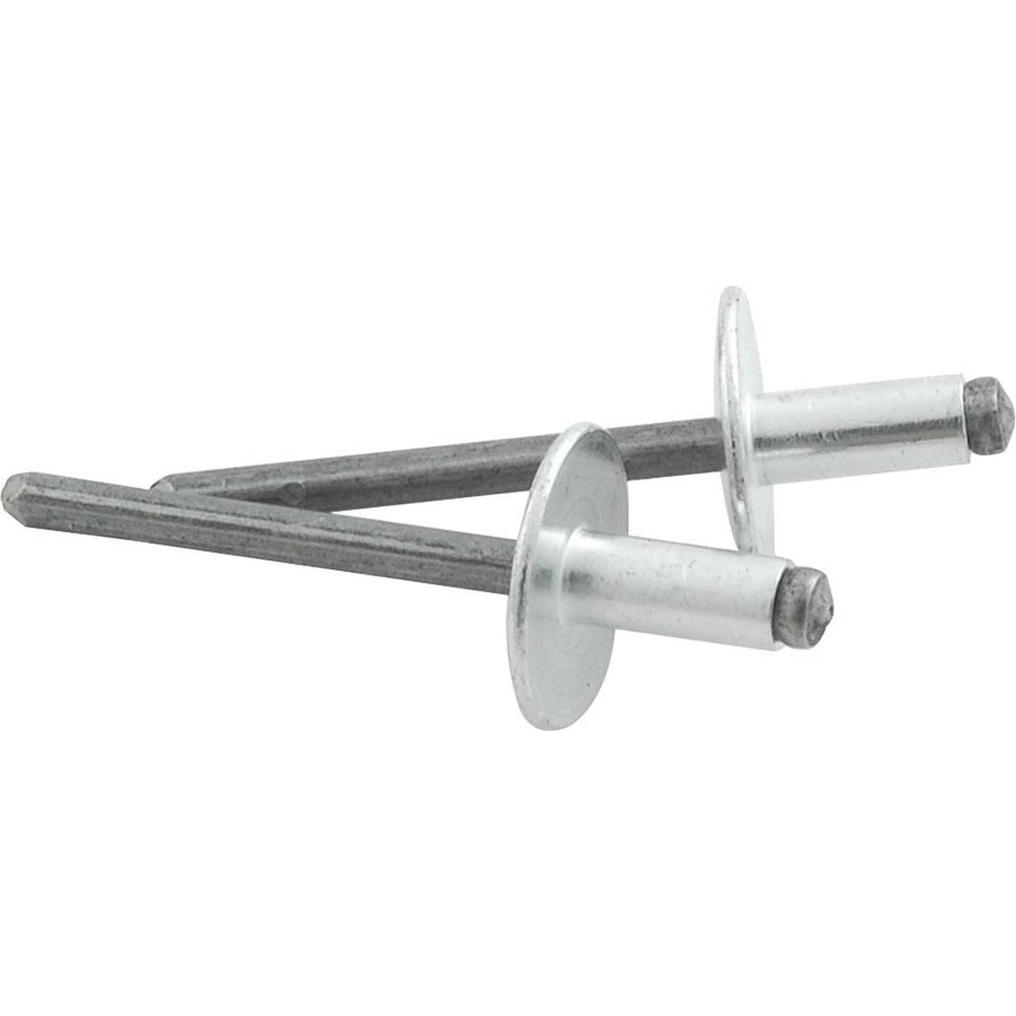 Allstar Performance 5/8 in Head Rivet - 3/16 in Mandrel - 1/8-1/4 in Grip Range - Steel - Set of 250
