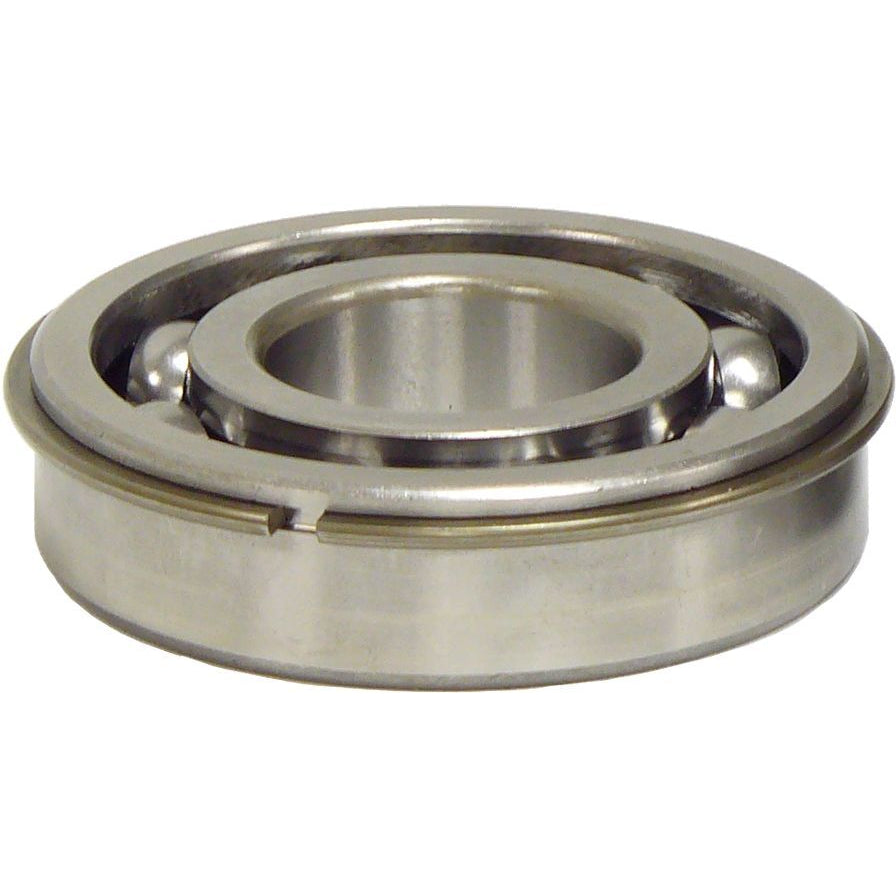 Brinn Front Bearing