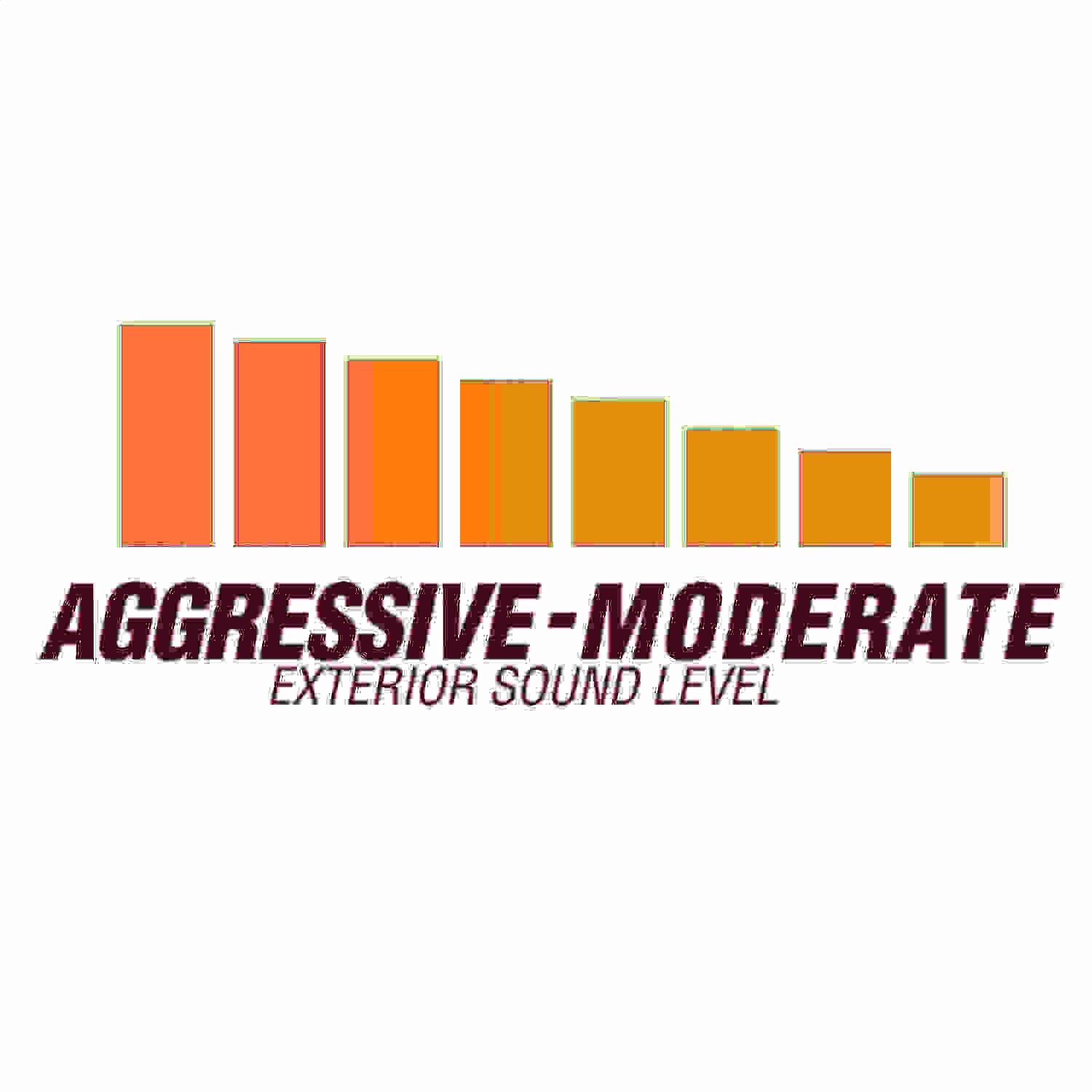 Flowmaster American Thunder Exhaust System Cat Back 2-1/2" Tailpipe 2-1/2" Tips - Stainless