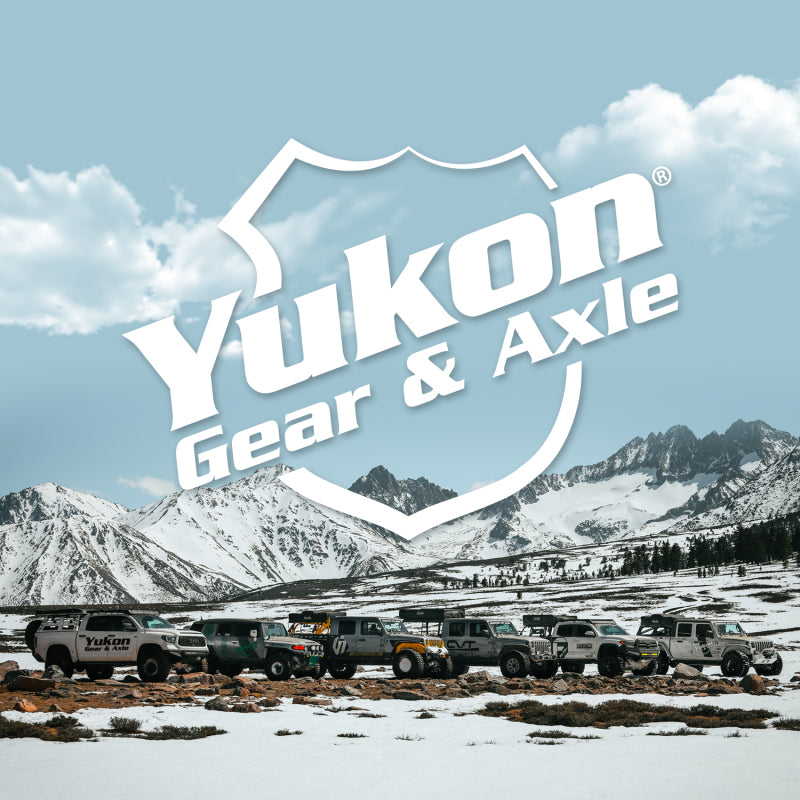 Yukon Master Overhaul Kit - GM 8.5" Rear Differential