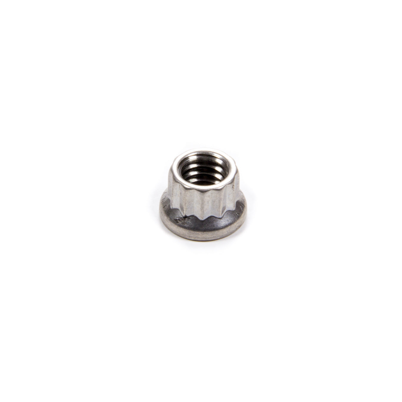 ARP Stainless Steel 12 Point Nut - 5/16-18 (1)
