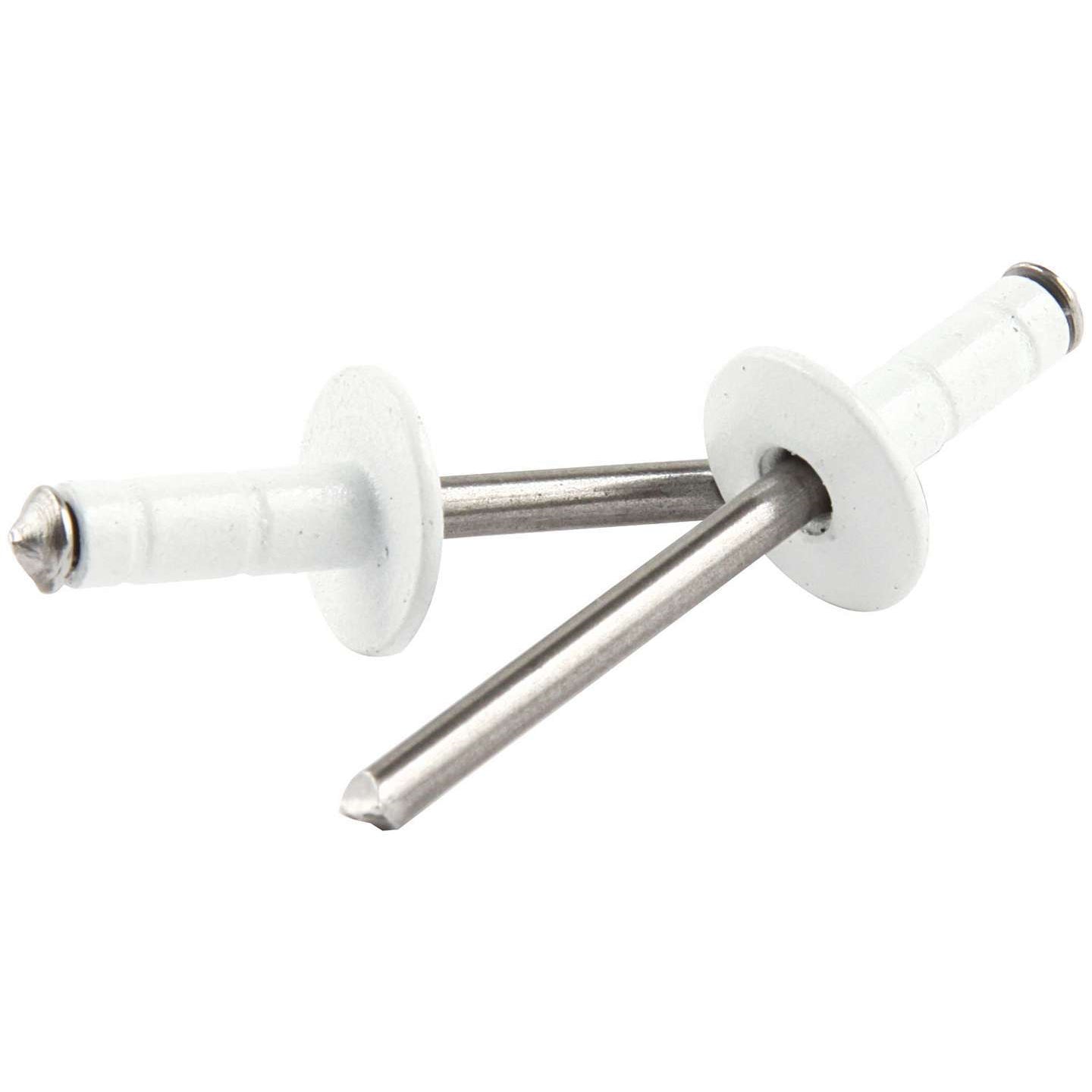 Allstar Performance 3/16" Medium Head Multi-Grip Range Rivets - White - (250 Pack)