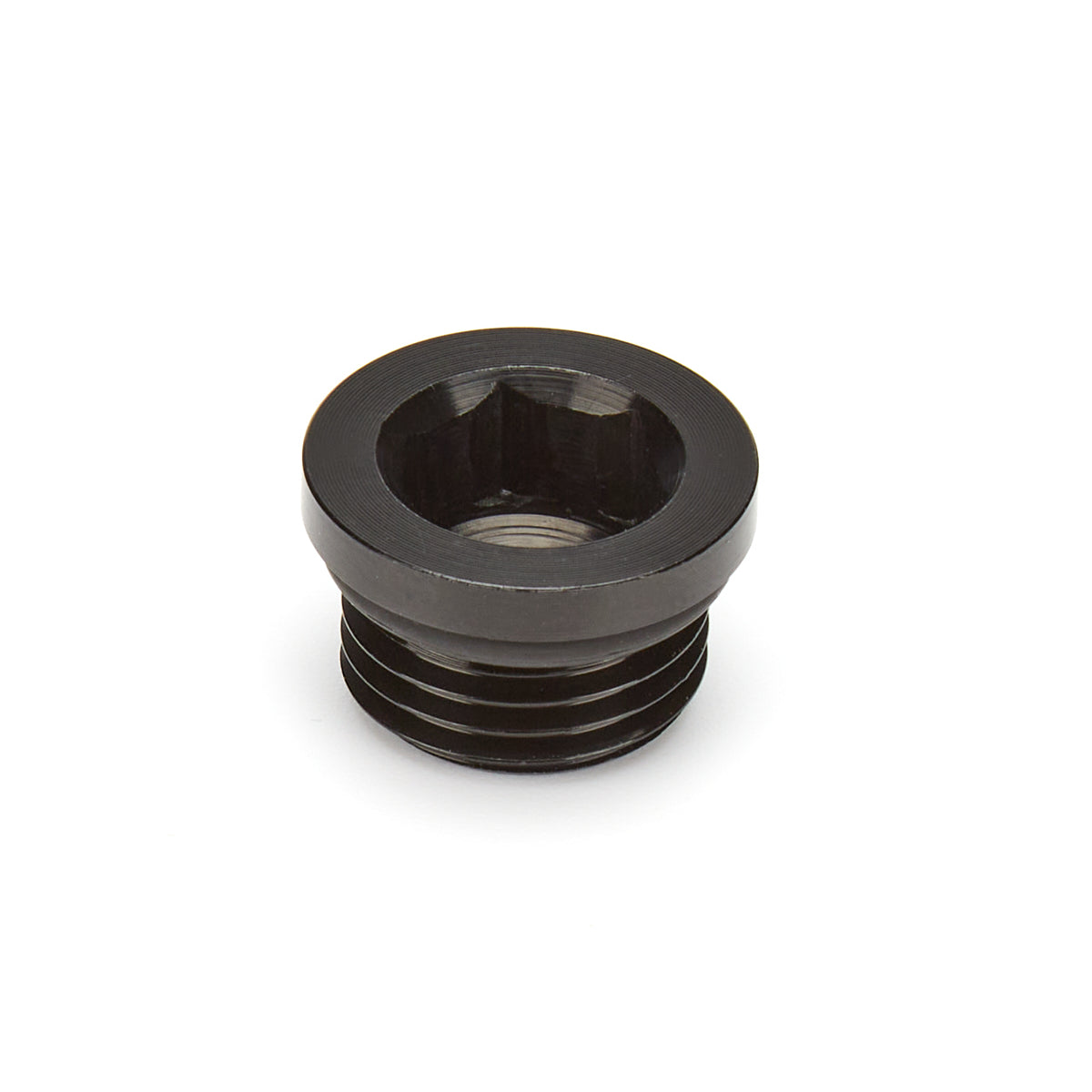 Waterman Allen Head 6 AN O-Ring Plug - Black