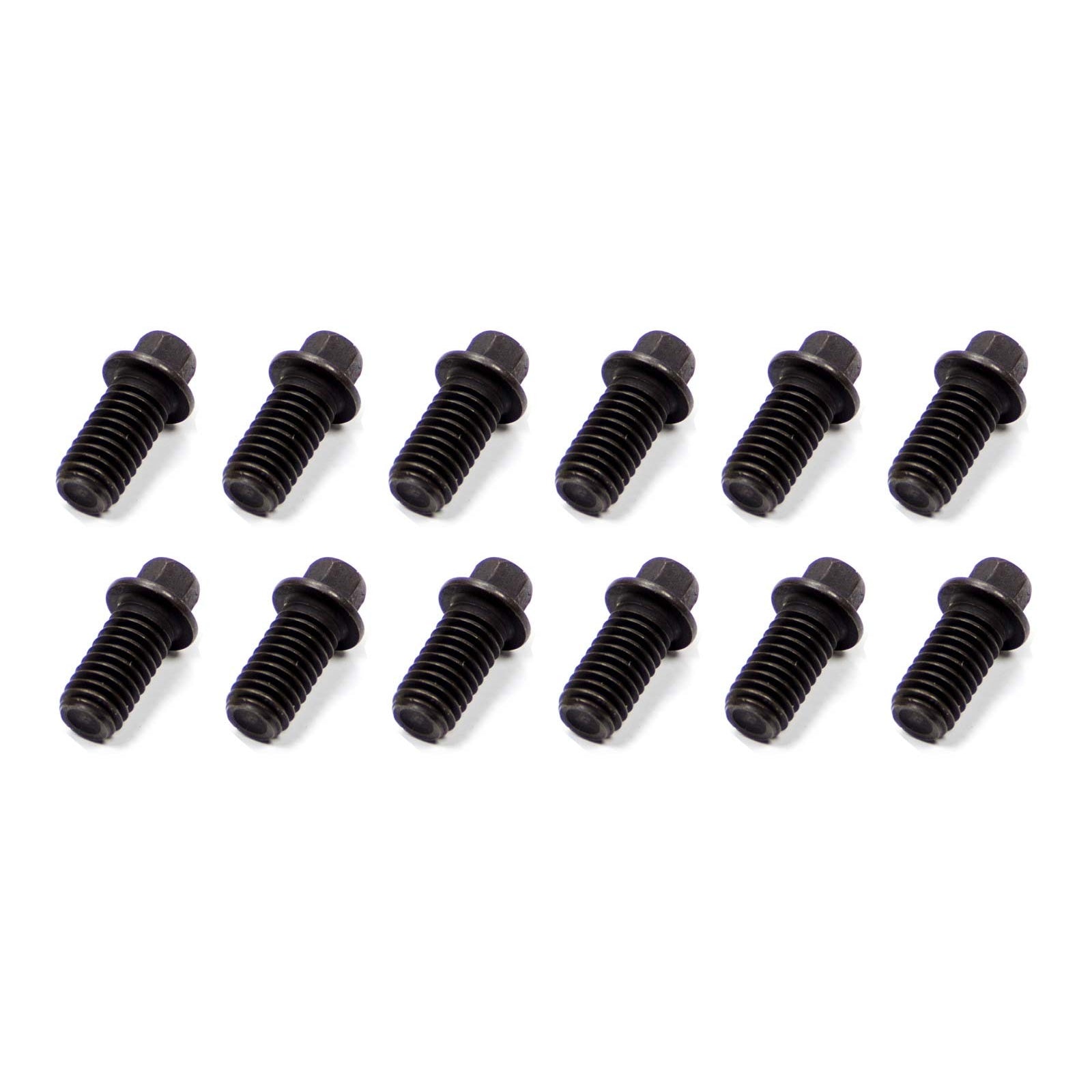 Schoenfeld Header Bolts - 3/8" x 3/4" x 5/16" - Hex Head (12 Pack)