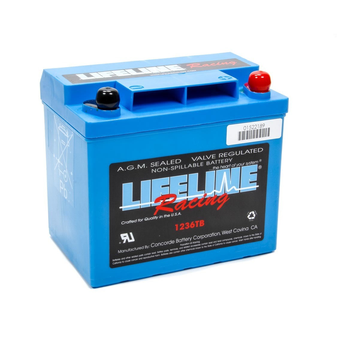 Lifeline Race AGM Battery - 12V - 385 Cranking amp - Top Post Screw-In Terminals - 7.71 in L x 6.89 in H x 5.18 in W