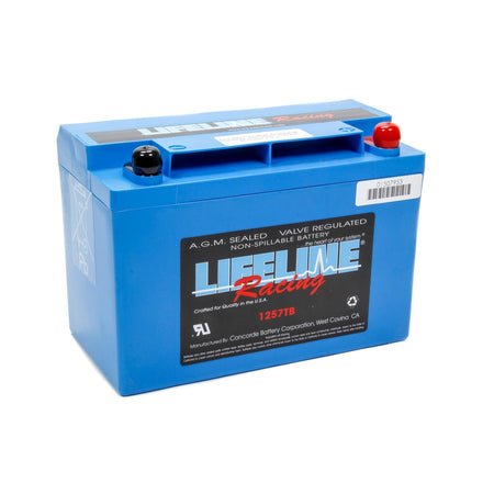 Lifeline Race AGM Battery - 12V - 495 Cranking amp - Top Post Screw-In Terminals - 9.78 in L x 6.83 in H x 4.97 in W