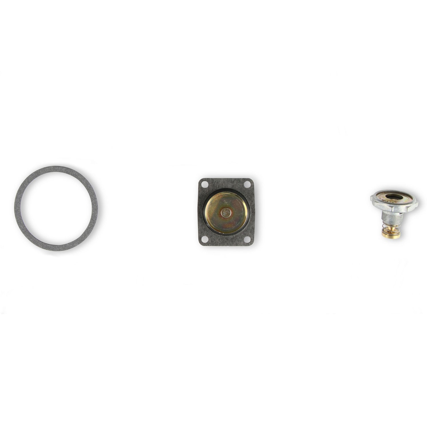 Holley Carburetor Fast Kit - Model Number 4160