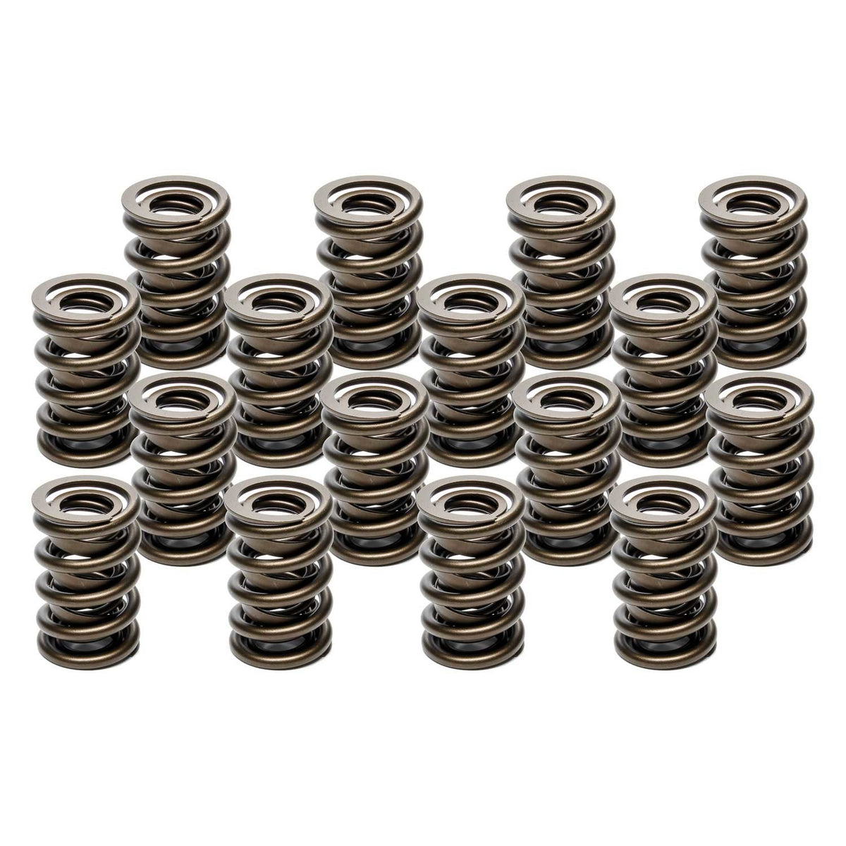 PAC Racing Springs Valve Springs - HR Series (16) 1.555 Dual