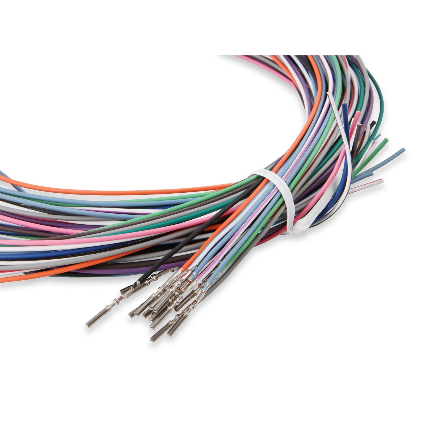Holley EFI Dash Wiring Harness