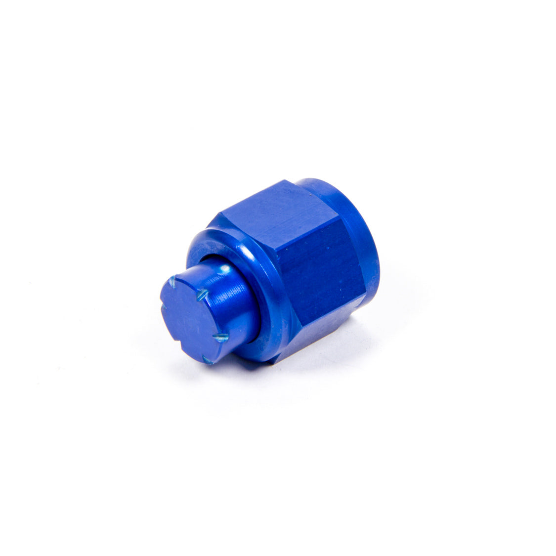 Aeroquip 8 AN Aluminum Cap - Blue Anodized FCM3741