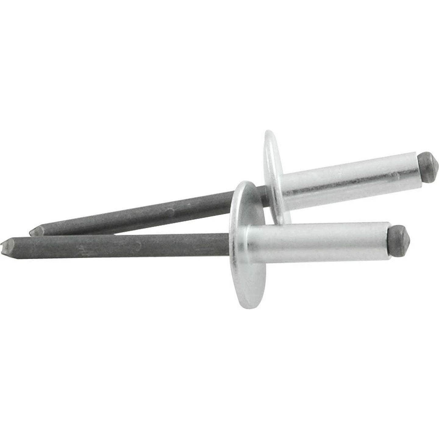 Allstar Performance 5/8 in Head Rivet - 3/16 in Mandrel - 3/8-1/2 in Grip Range - Steel - Set of 250