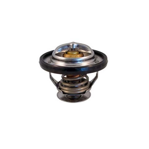Jet Low Temp Thermostat